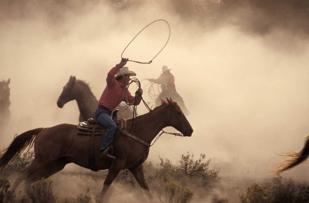 Cowboys roping horses 122516522