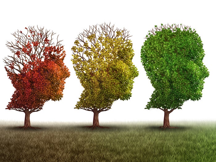 1 proven skills development