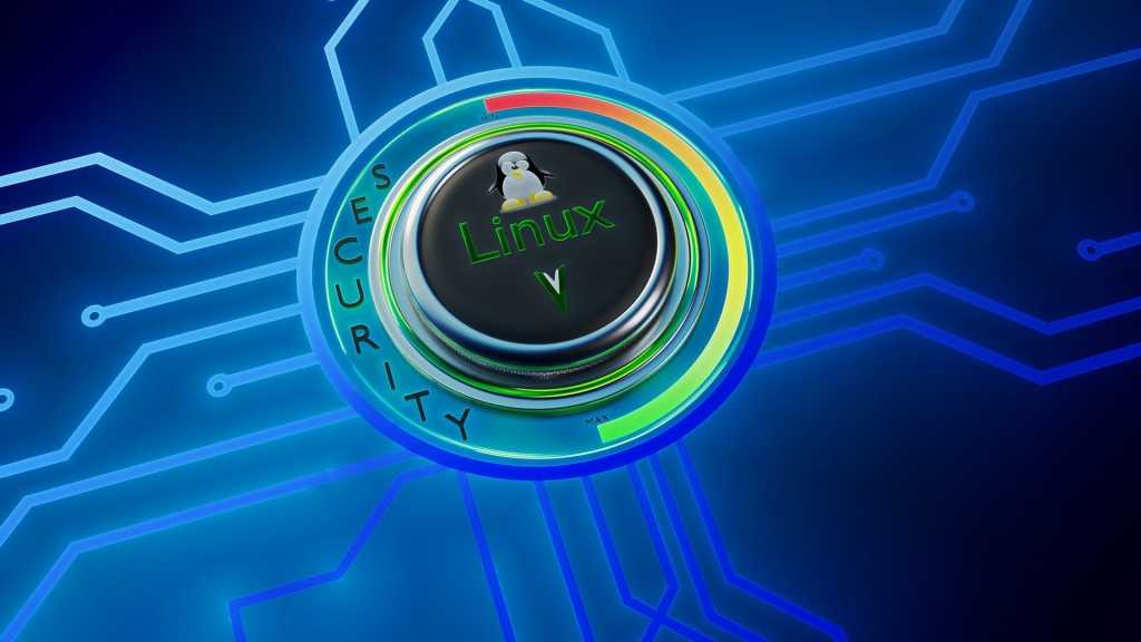 linux security lick