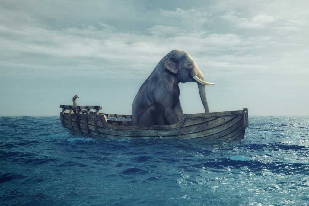 big data elephant analytics risk predictions vulnerable