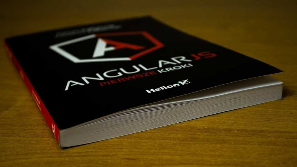 angular angularjs book