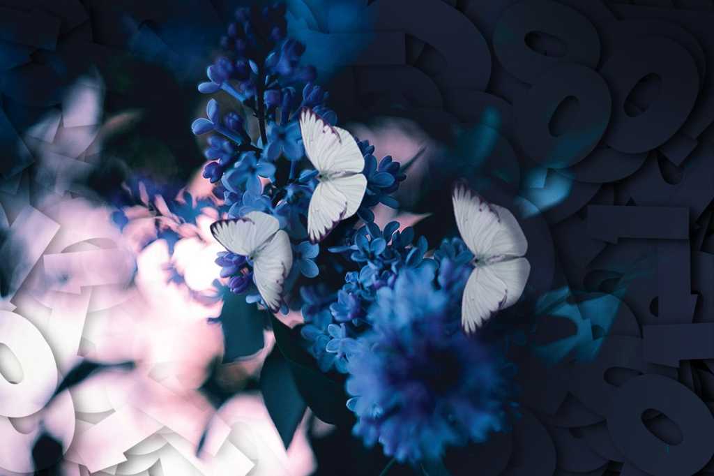 digital transformation / butterflies within a binary environment