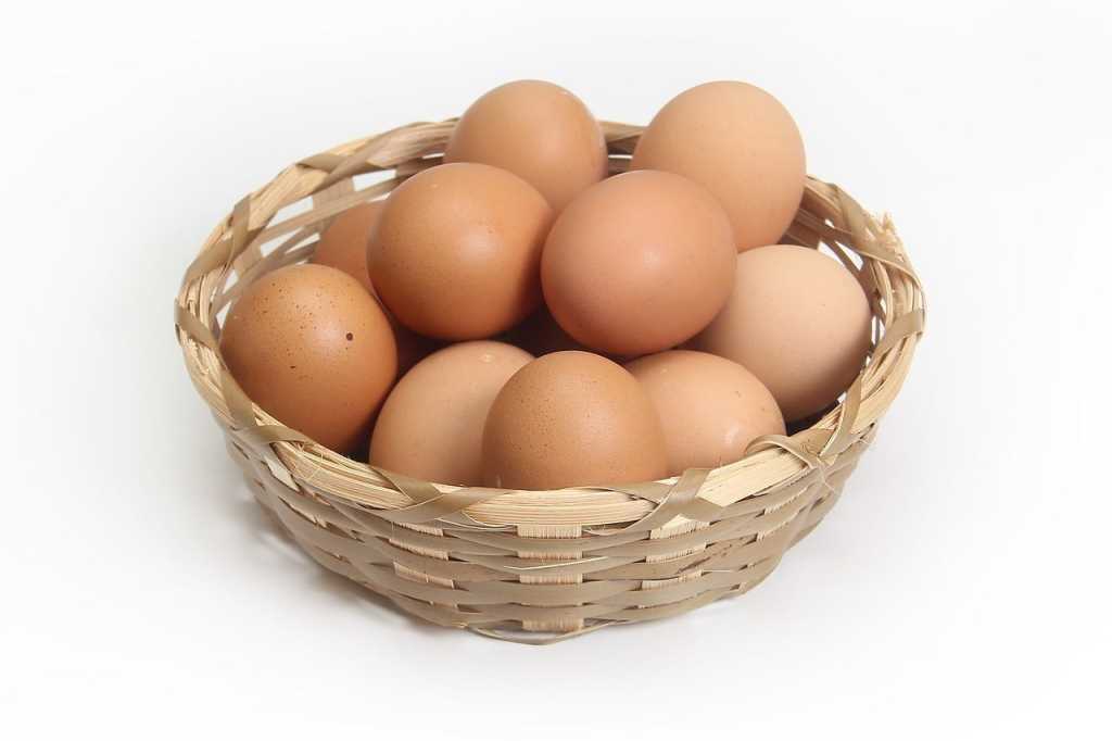 eggs basket
