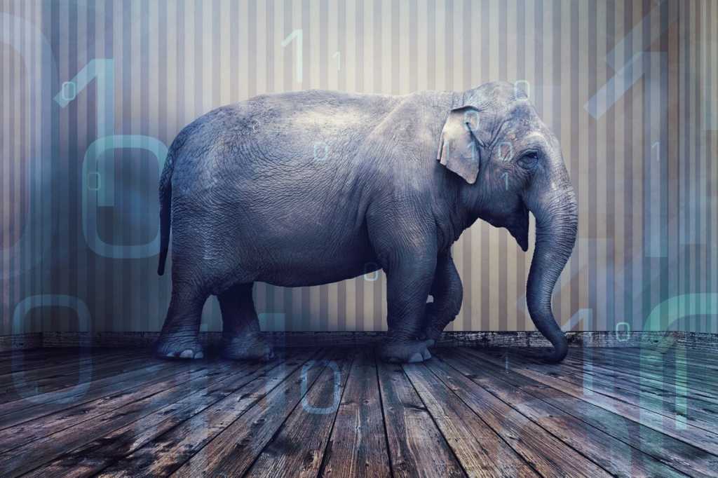 elephant in the room