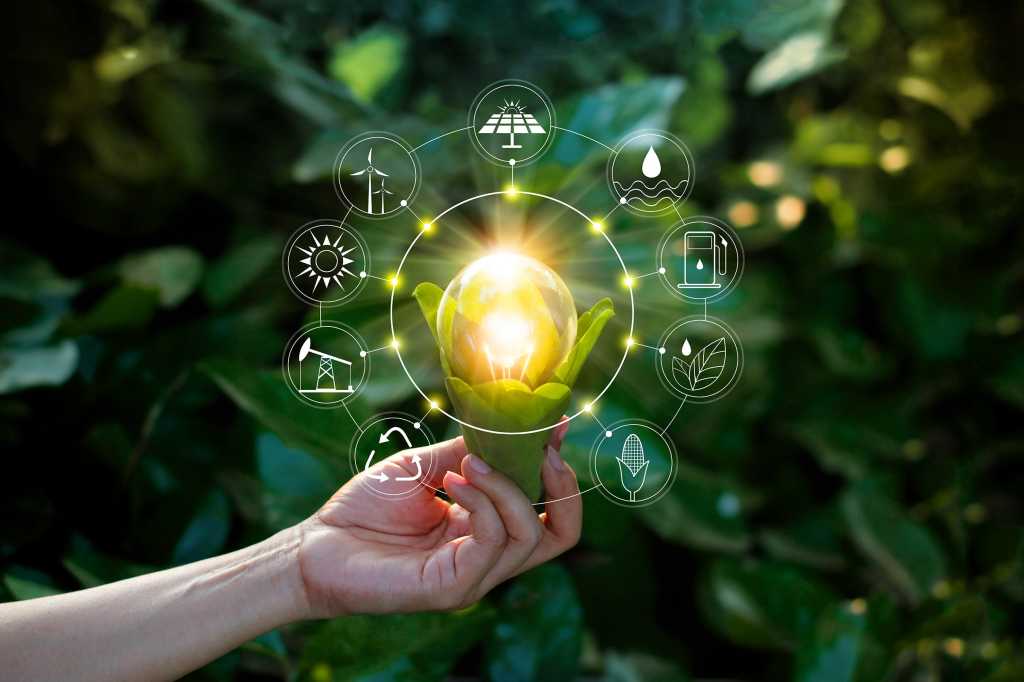 A hand holds a lightbulb swathed in leaves and surrounded by symbols of renewable energy.