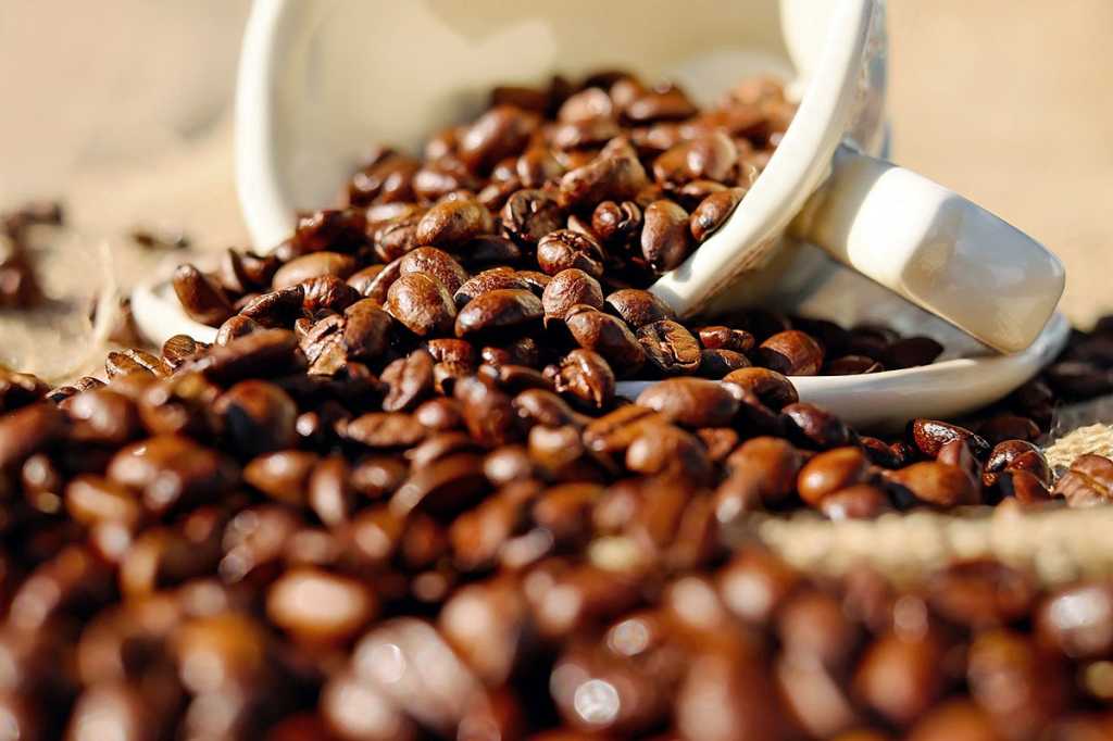 java -- coffee beans