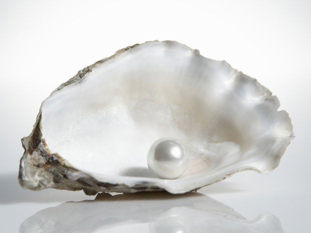 pearl oyster shell treasure jewel gem