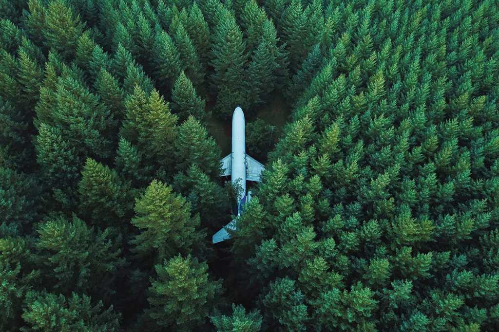 Out of place, in the middle of nowhere: a jet airplane in a dense forest