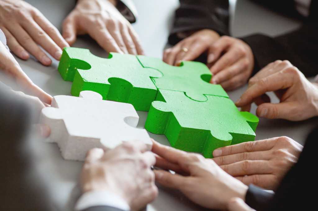 puzzle / teamwork / strategy