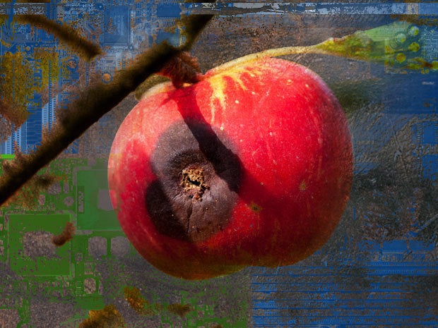 rotten old apple mac