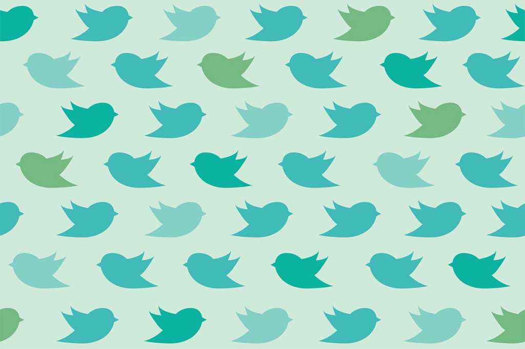 Twitter birds social media pattern