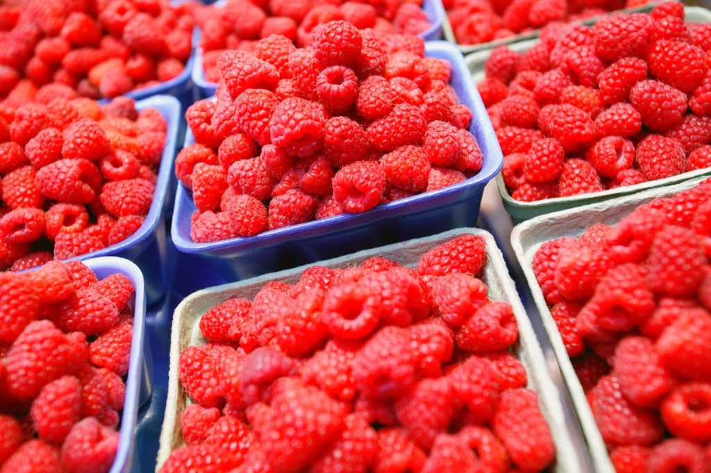 sort filter seprate strawberries in boxes