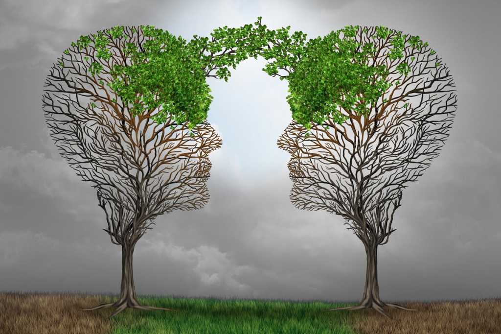 succession brain sharing intellectual knowledge sharing