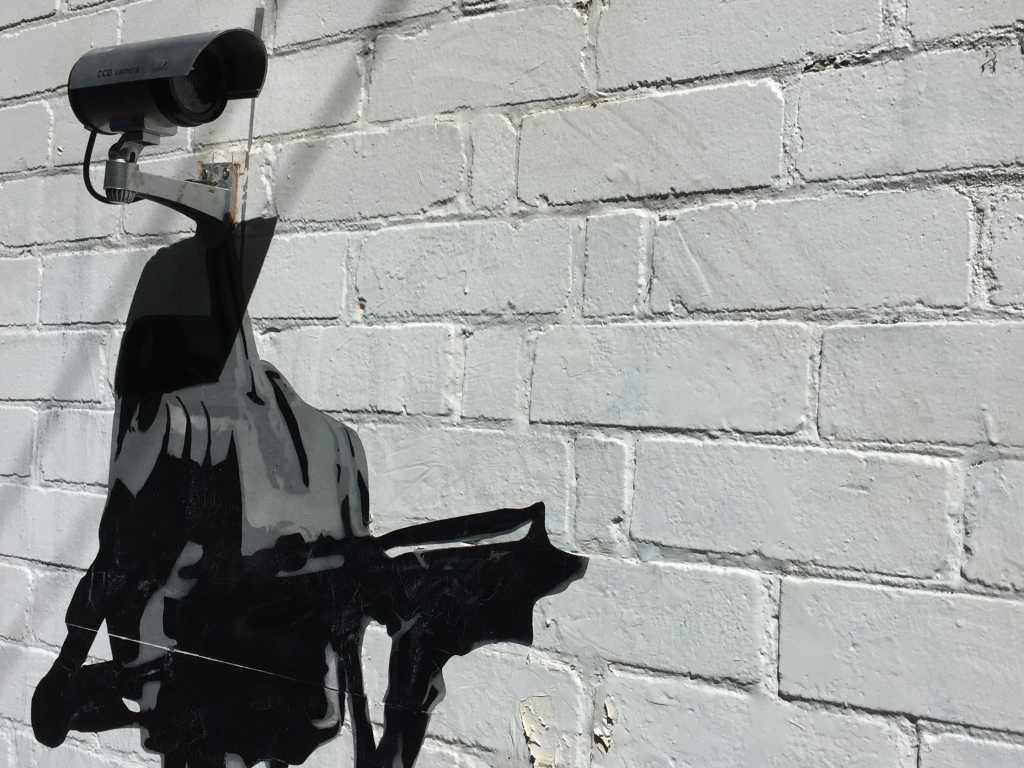 surveillance, spying, cameras, IP cameras