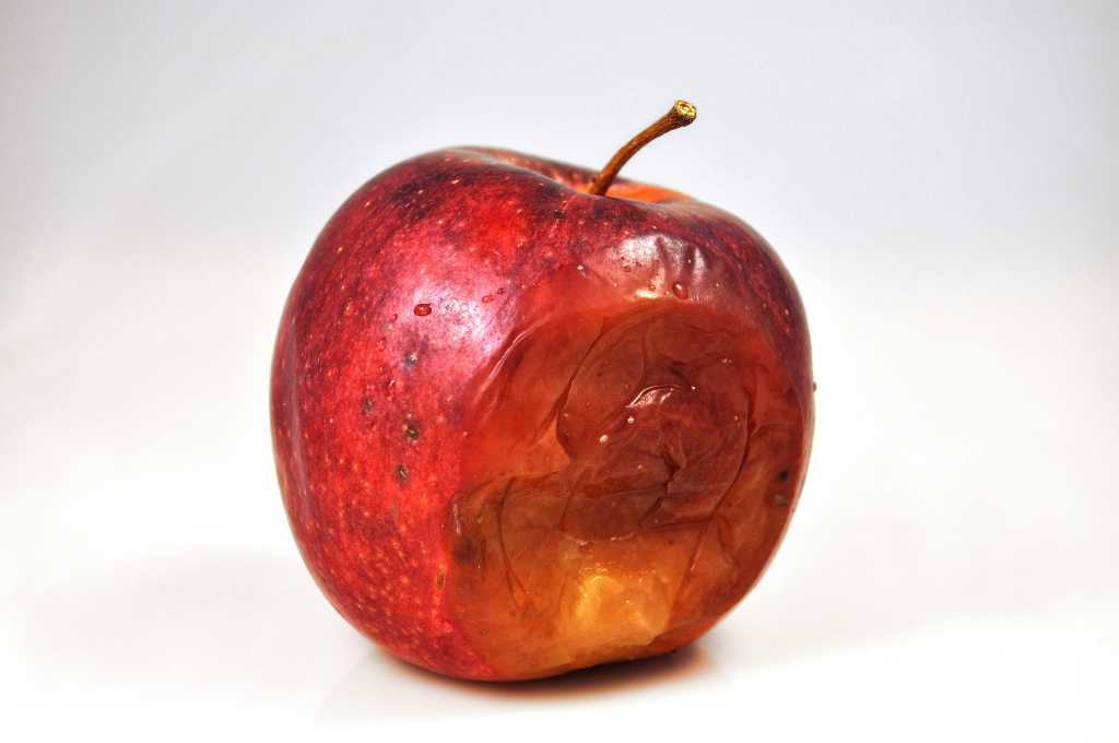 Rotten red apple