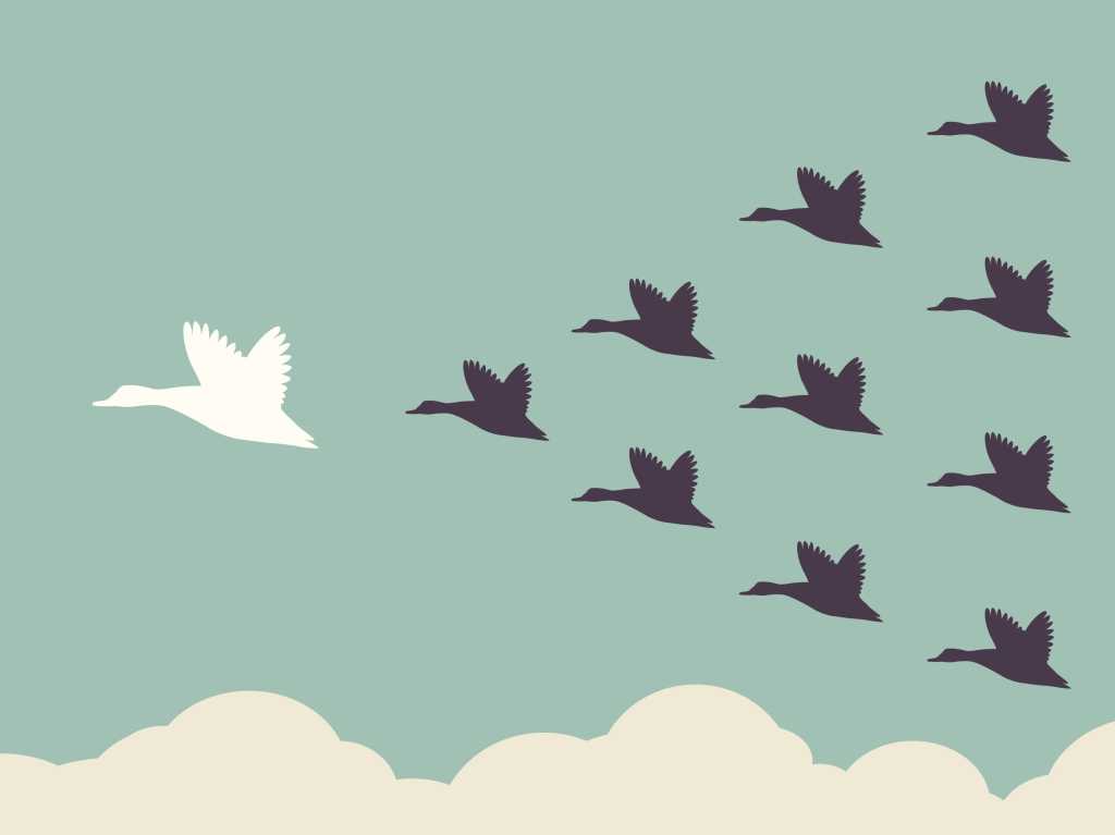 illustration of flock of geese leading