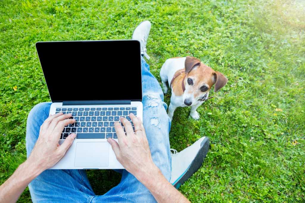 Birds eye view of young man on wireless laptop with dog sitting on the grass working remotely
