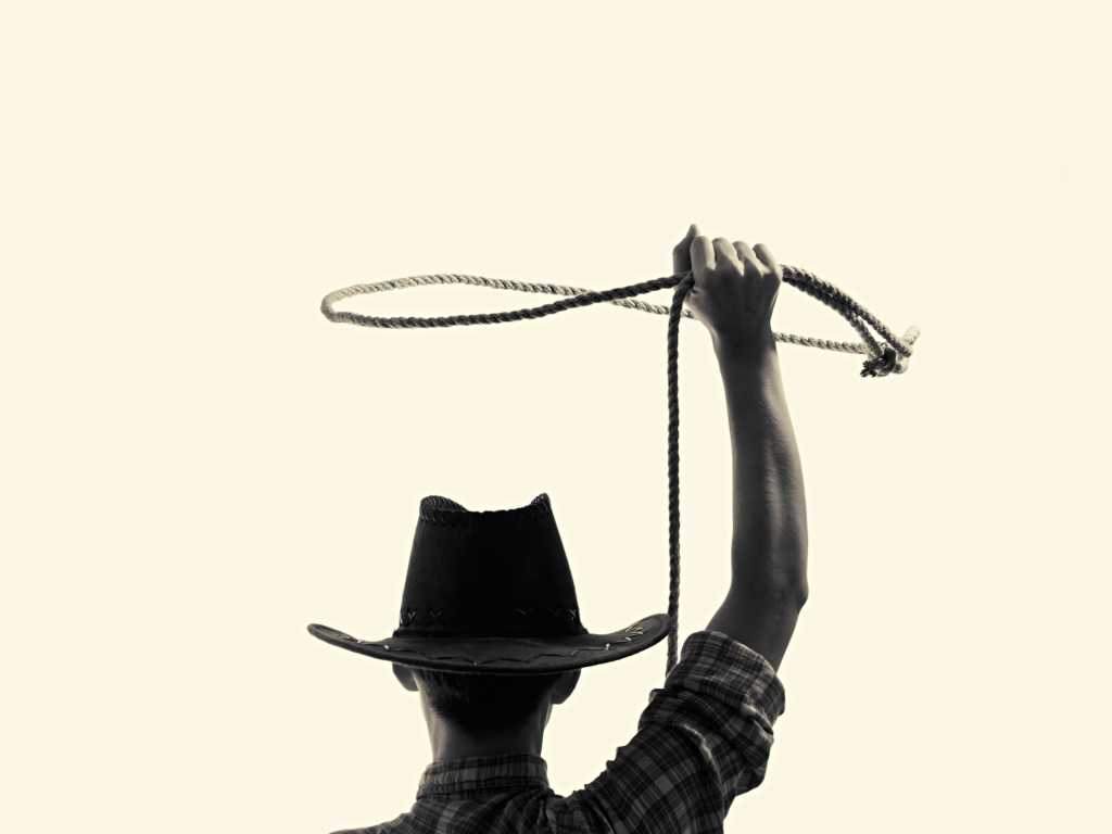 cowboy with lasso