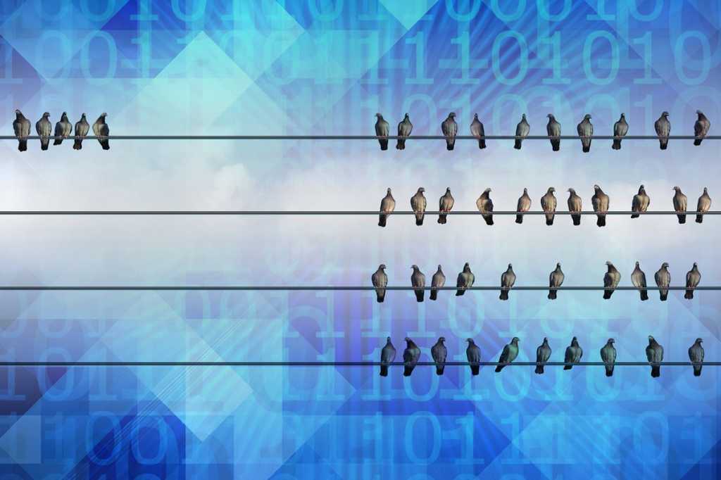 sort filter group birds on a wire