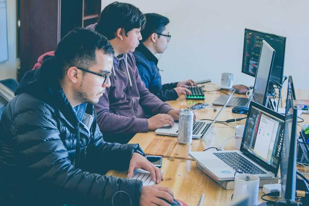 Software development