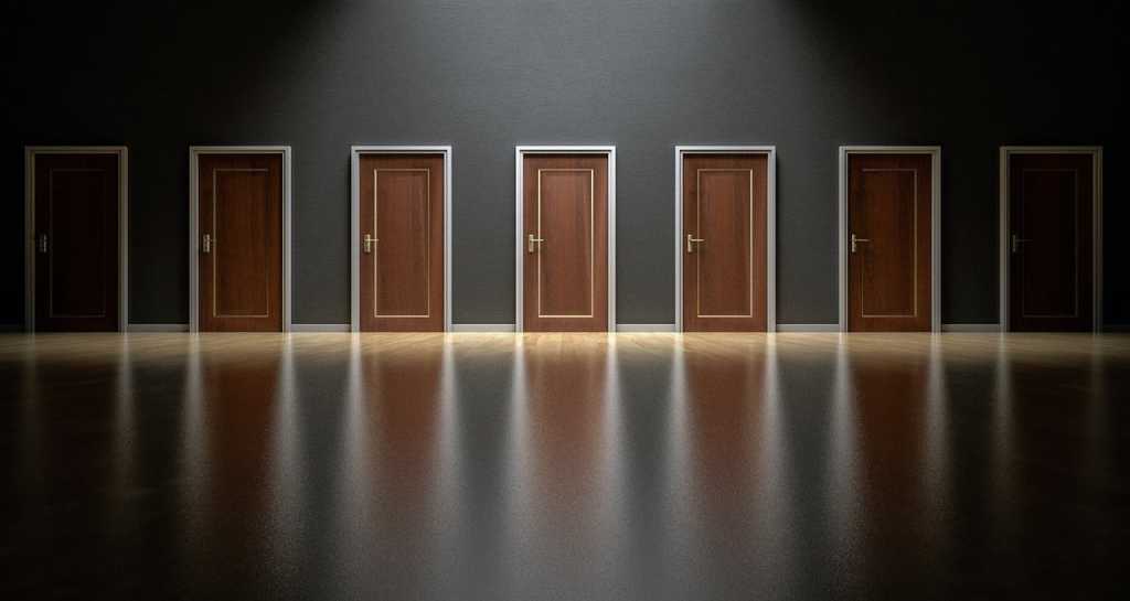 doors choices decisions